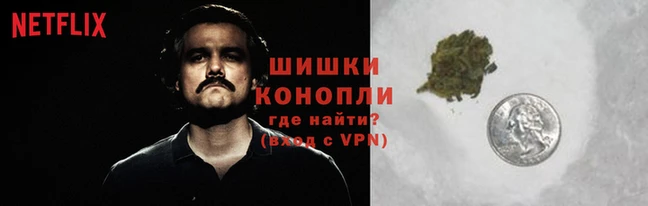 прущие крисы Богородицк