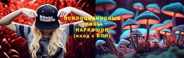 прущие крисы Богородицк