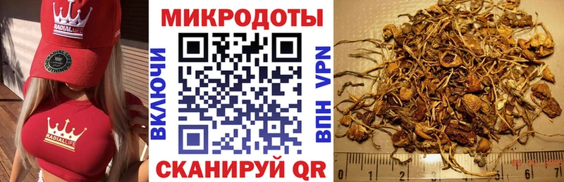 Галлюциногенные грибы Cubensis  Выборг 